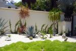 The garden